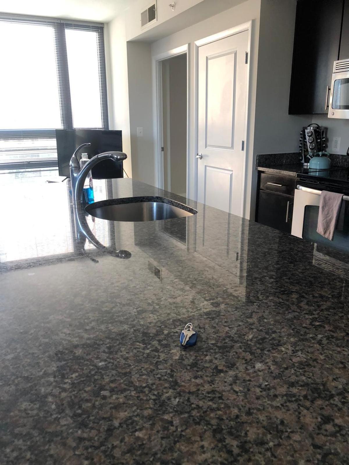 Pentagon Luxe Apartments Arlington Kültér fotó